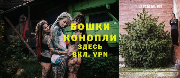 шишки Алзамай