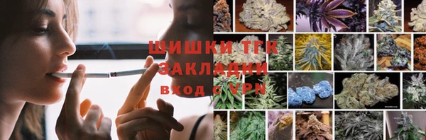 твердый Аркадак