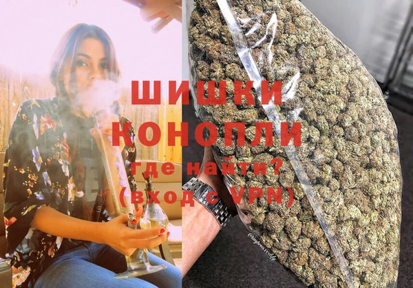 твердый Аркадак